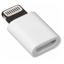 Witte USB-C converter adapter plug naar iPhone aansluiting USB wit