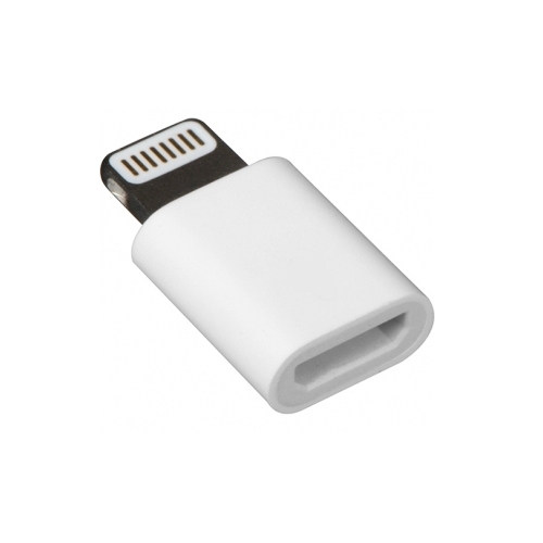 Witte USB-C converter adapter plug naar iPhone aansluiting USB wit
